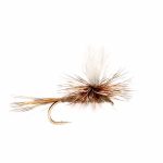 ADAMS PRACHUTE DRY(PRICE FOR 12 PIECES)