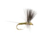 Blue Winged Olive Thorax dry fly (prices for 12 flies)