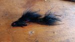 ALTICULATED BLACK SEX DUGION BASS ( FOR 12 PIECES) - Image 2