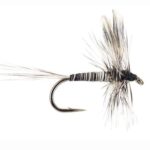 MOSQUITO DRY (PRICES FOR 12 PIECES)