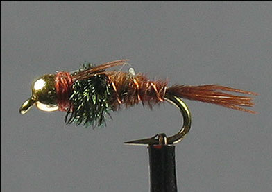 Pheasant-Tail-Nymph-Bead-Head-Flashback-side.jpg pheasant tail peacock thorax beadhead(prices for 12 flies) - Image 1