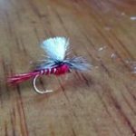 RED PARACHUTE DRY(PRICE FOR 12 PIECES)