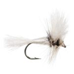 WHITE WULF DRY (PRICE FOR 12 PIECES)