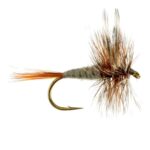 ADAMS DRY( PRICE FOR 12 PIECES)