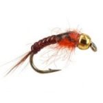 Ales tg orange body nymph  glass tg bh (price for 12 FLIES)