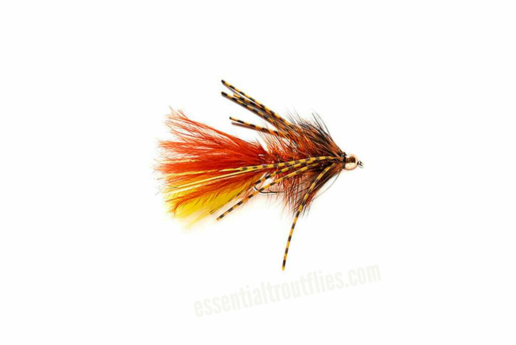 aviary-image-1656849833009.jpeg BEADHEAD RUBBER LEGGED BUGGER BROWN AND YELLOW(PRICE FOR 12 FLIES) - Image 1