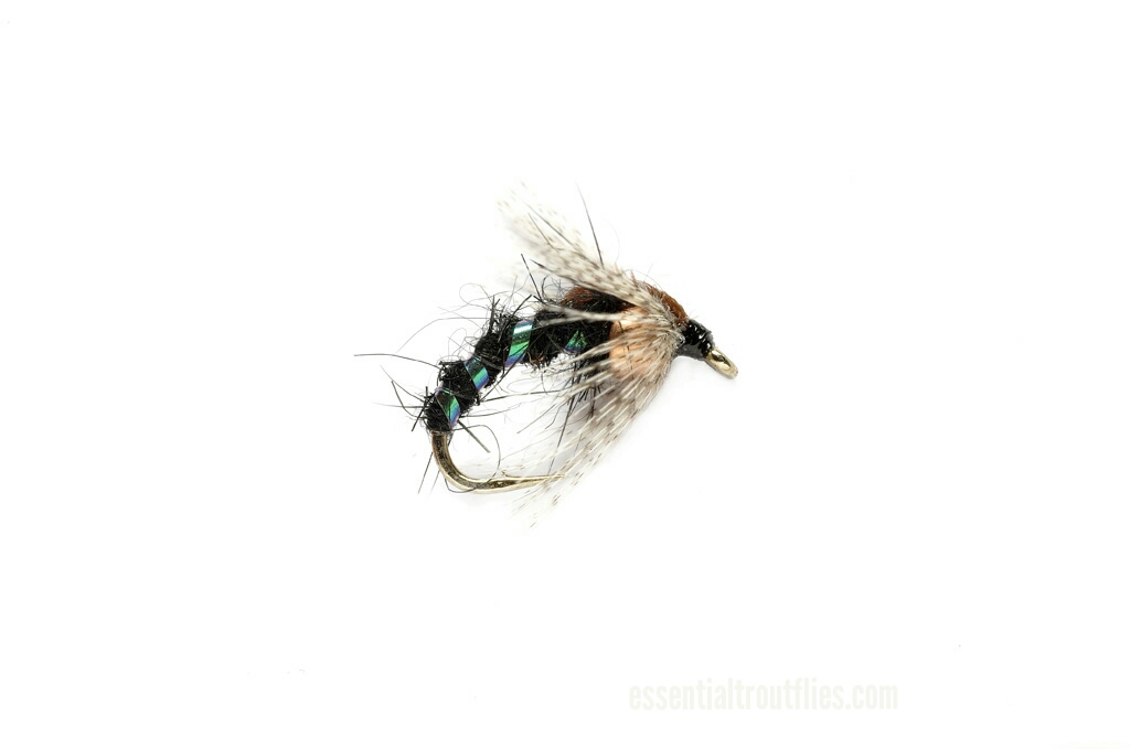 aviary-image-1656851504150.jpeg BEADHEAD HOLY GRAIL NYMPH BLACK(PRICE FOR 12 FLIES) - Image 1
