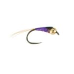 TGN perdigon-purple-pant  frenchie euro nymph (PRICE FOR 12 FLIES)