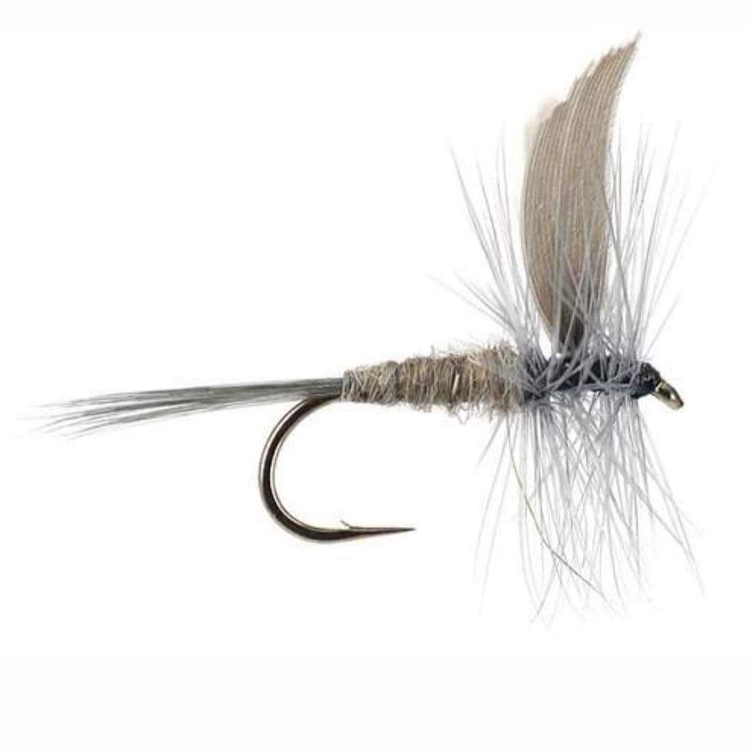 received_841507426740723.jpeg Blue dun dry (prices for 12 flies) - Image 1