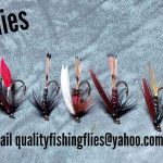 Assorted(10)wet flies paterns ivicter/alexandra/black pennel/loyal coachman/mallard and claret/connemara/black gnat/black spider/black zulu and bibio wet flies (price for 120 flies)