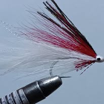 494479157_4110056725874579_1601068929520221889_n LEFT DECEIVER RED AND WHITE SALTWATER READY TO SHIP (PRICE FOR 12 PIECES) - Image 1