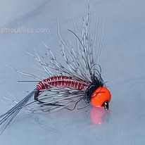 506045246_4151475141732737_4263583504511950175_n Ales hot orange copper warrier nymph fly READ TO SHIP (price for 12 piecs) (Copy) - Image 1