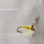 comparadun yellow dry READY TO SHIP (prices for 12 flies)