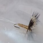 comparadun cream dry READY TO SHIP (prices for 12 flies)